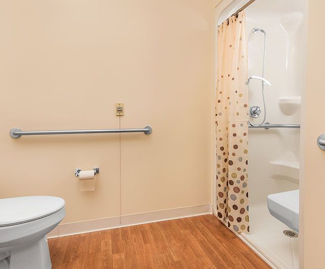 An accessible bathroom with a toilet, shower, and handrail.