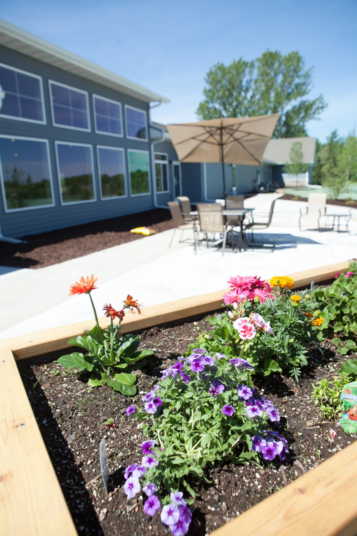A vibrant garden with colorful flowers beside a sunny patio area.