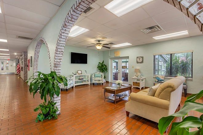 A cozy living room with comfortable seating and a TV, featuring potted plants and a ceiling fan.