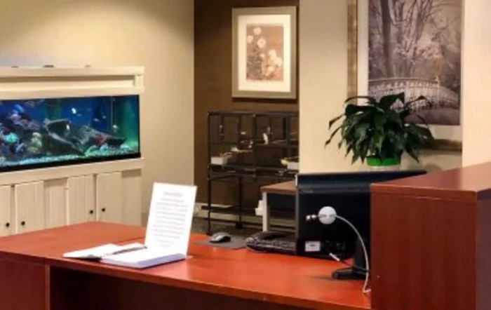 A modern reception area featuring a wooden desk with a laptop, a television on the wall, and decorative elements.