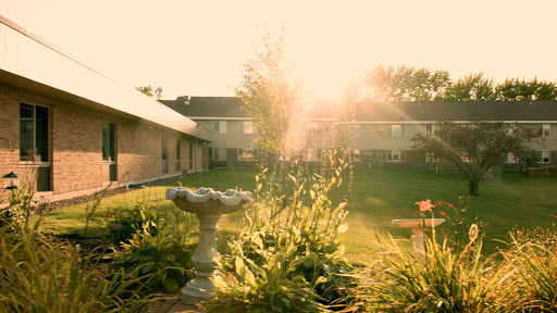 A serene garden bathed in warm sunlight during the early morning.
