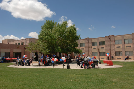 A lively outdoor gathering taking place under a large tree, with attendees seated in front of a building on a sunny day.