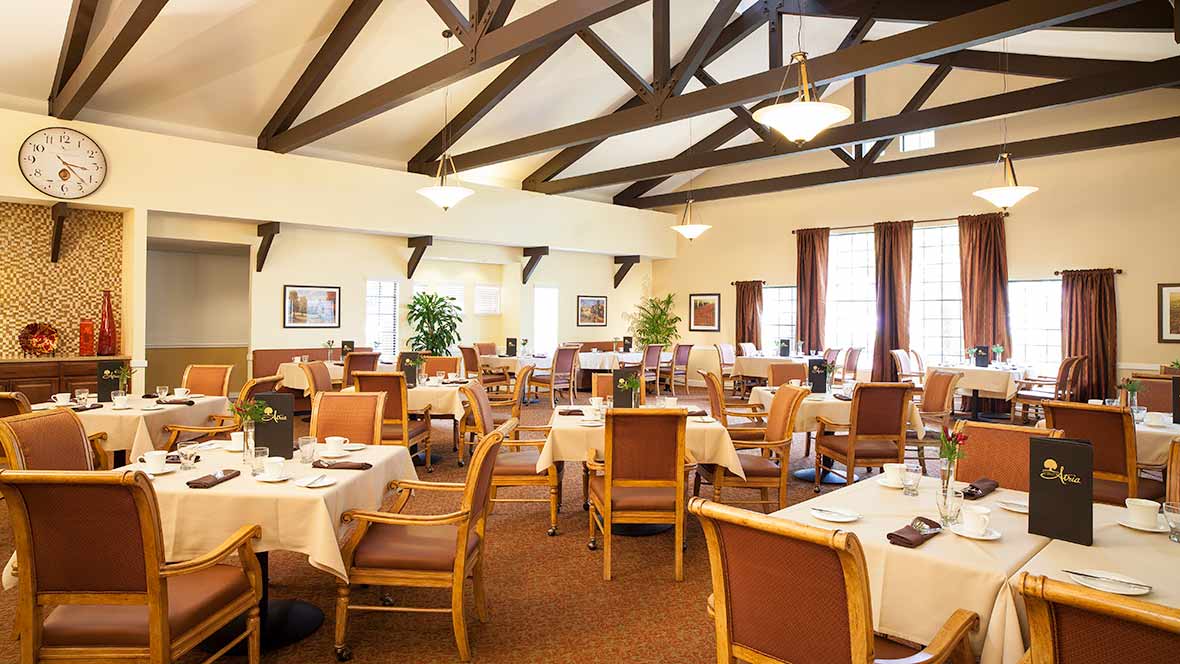 A spacious dining area with neatly arranged tables and chairs, featuring rustic ceiling beams and potted plants for decor.
