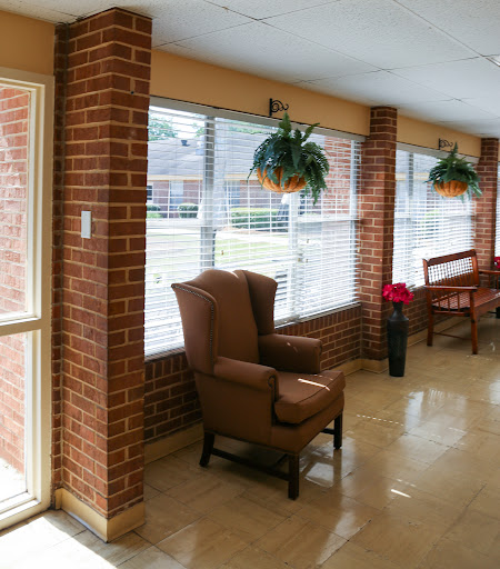 A cozy seating area featuring a brown armchair and natural light pouring in through the large windows, adorned with hanging plants.