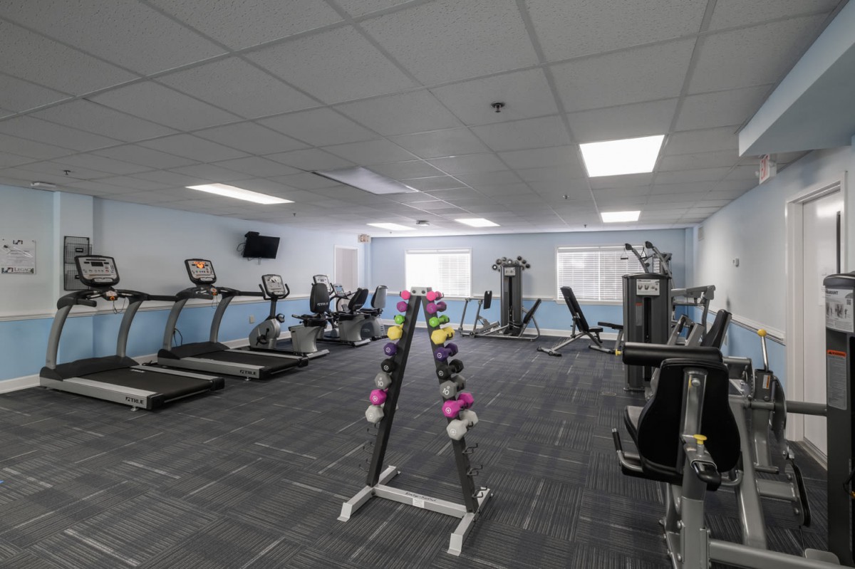A well-equipped gym with treadmills, exercise bikes, and a variety of weights.