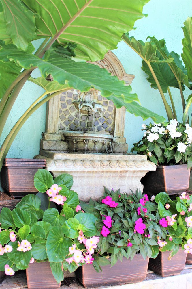 A beautiful garden fountain surrounded by vibrant tropical plants and flowers.