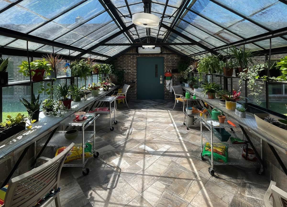 A sunlit greenhouse filled with various potted plants on tables.