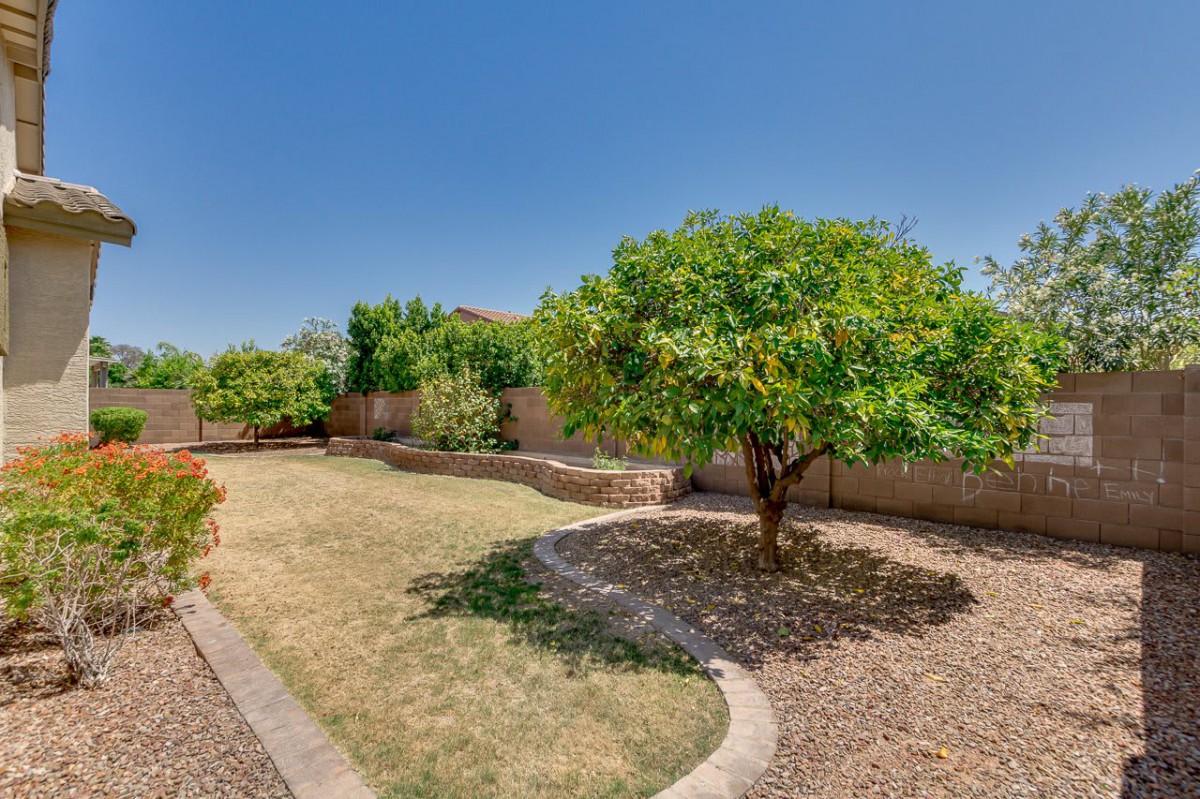 A sunny backyard garden with a tree and neatly landscaped yard.