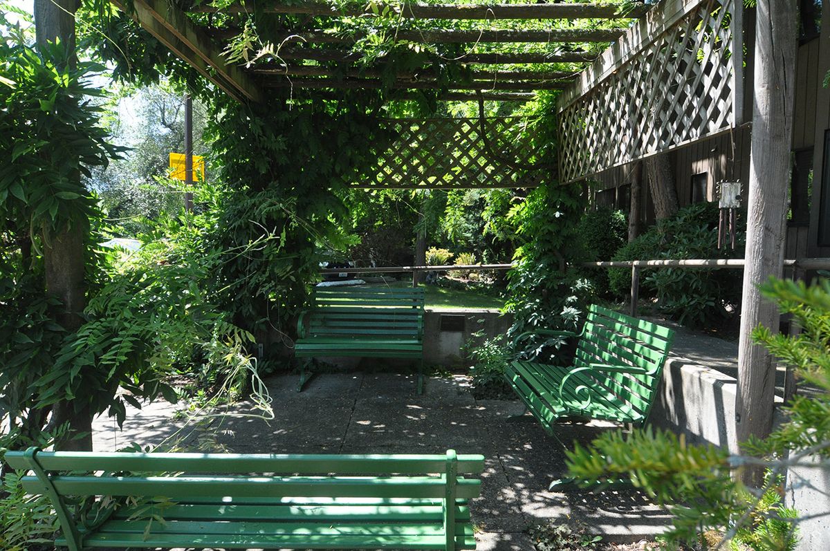 A tranquil garden setting with green benches under a leafy pergola, providing a shaded spot for relaxation.