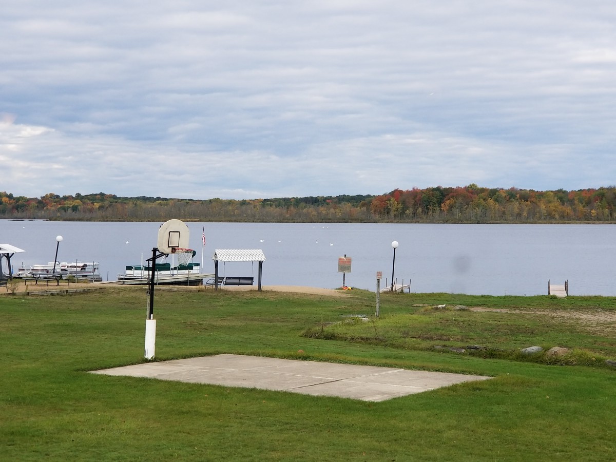 A peaceful lakeside view with a grassy area and a dock.
