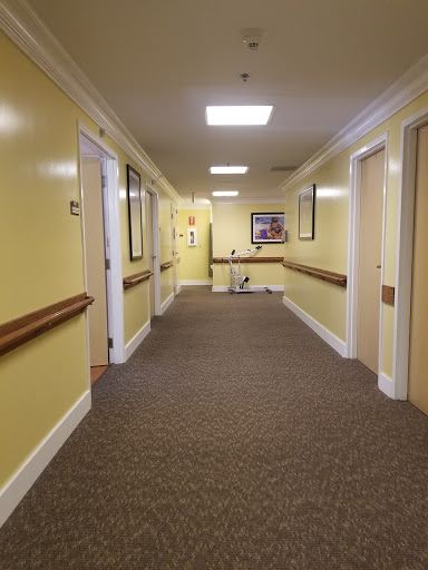 A well-lit hallway with yellow walls and carpet, featuring multiple doors and decorative art.