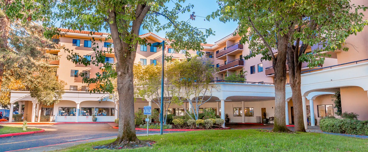 A view of a residential building with trees and greenery in the foreground.