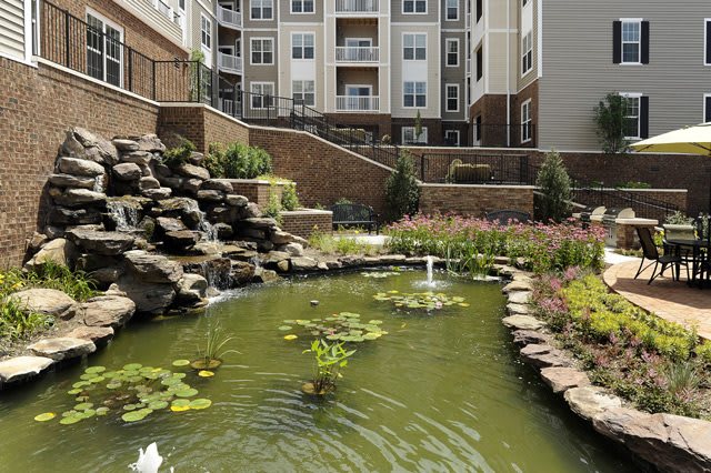A serene pond with water lilies in the courtyard of a modern apartment complex.