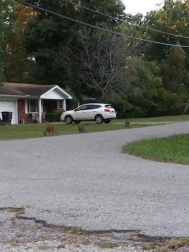 Crystal Care Center Of Franklin Furnace