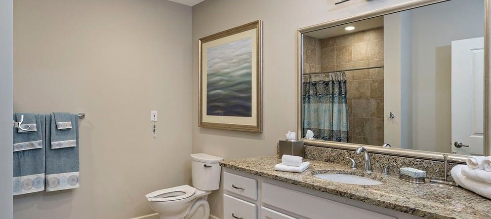A modern bathroom featuring a toilet and sink with a granite countertop, along with a large framed artwork on the wall and a shower curtain in the background.