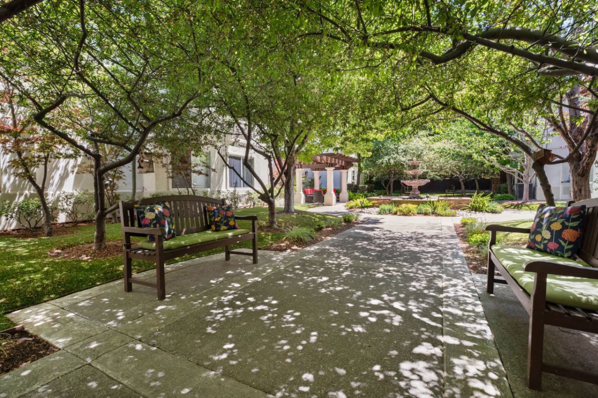 A serene garden pathway lined with trees and benches, casting dappled shadows on the ground.