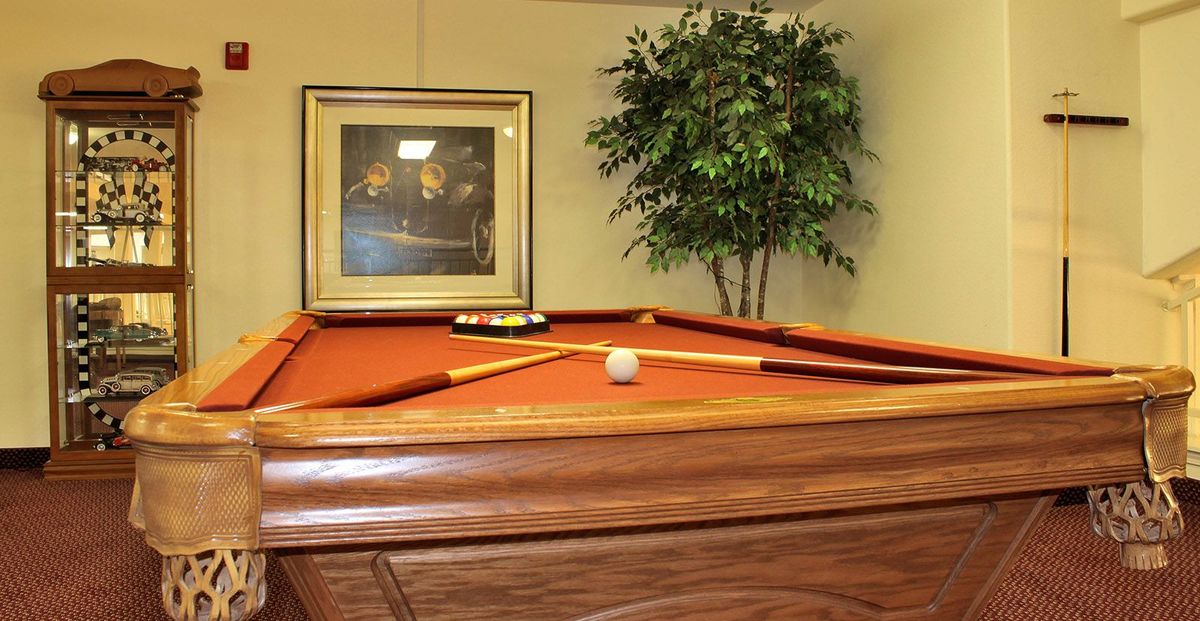 A corner pool table with a red felt surface, complemented by a cue stick and ball, a decorative plant, and a framed painting in the background.