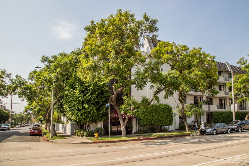 An urban street corner featuring a building surrounded by lush green trees on a sunny day.