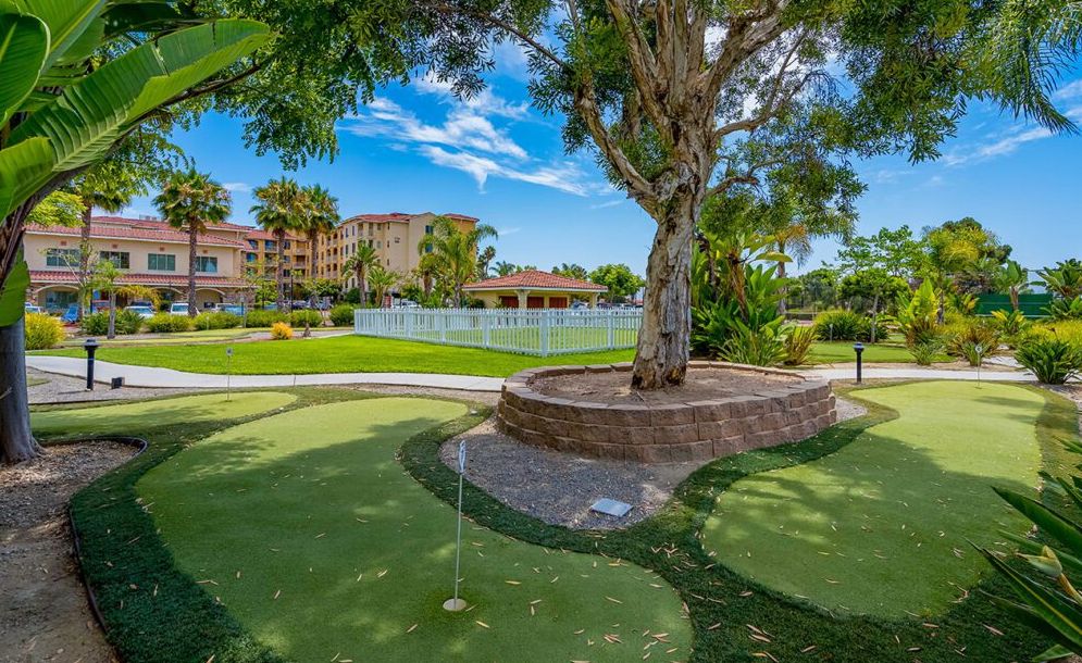 Paradise Village