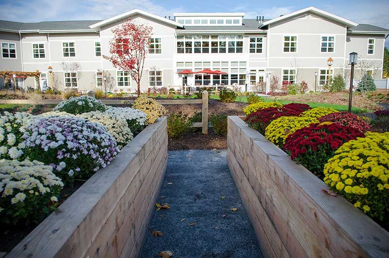 A beautifully landscaped garden pathway leading to a modern building.
