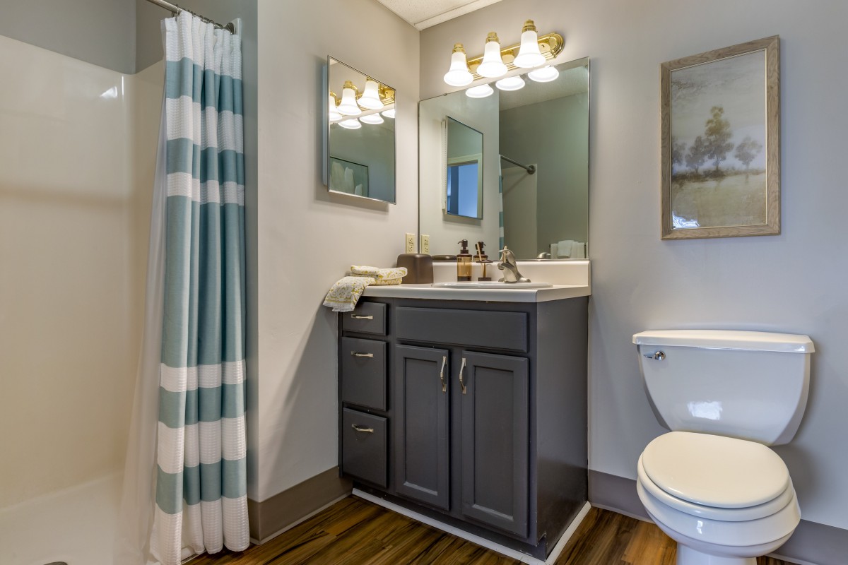 A modern bathroom with a vanity, mirror, and lighting above, featuring a striped shower curtain and toilet.