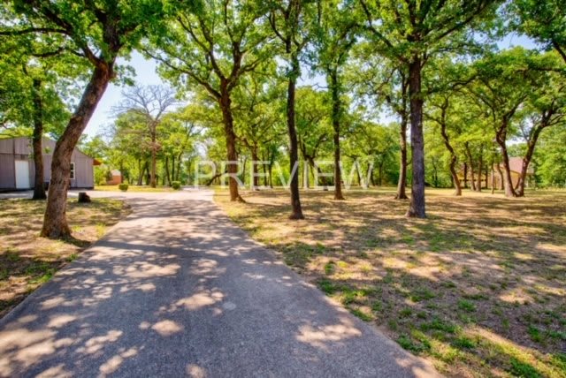 A scenic pathway surrounded by lush green trees in a park.