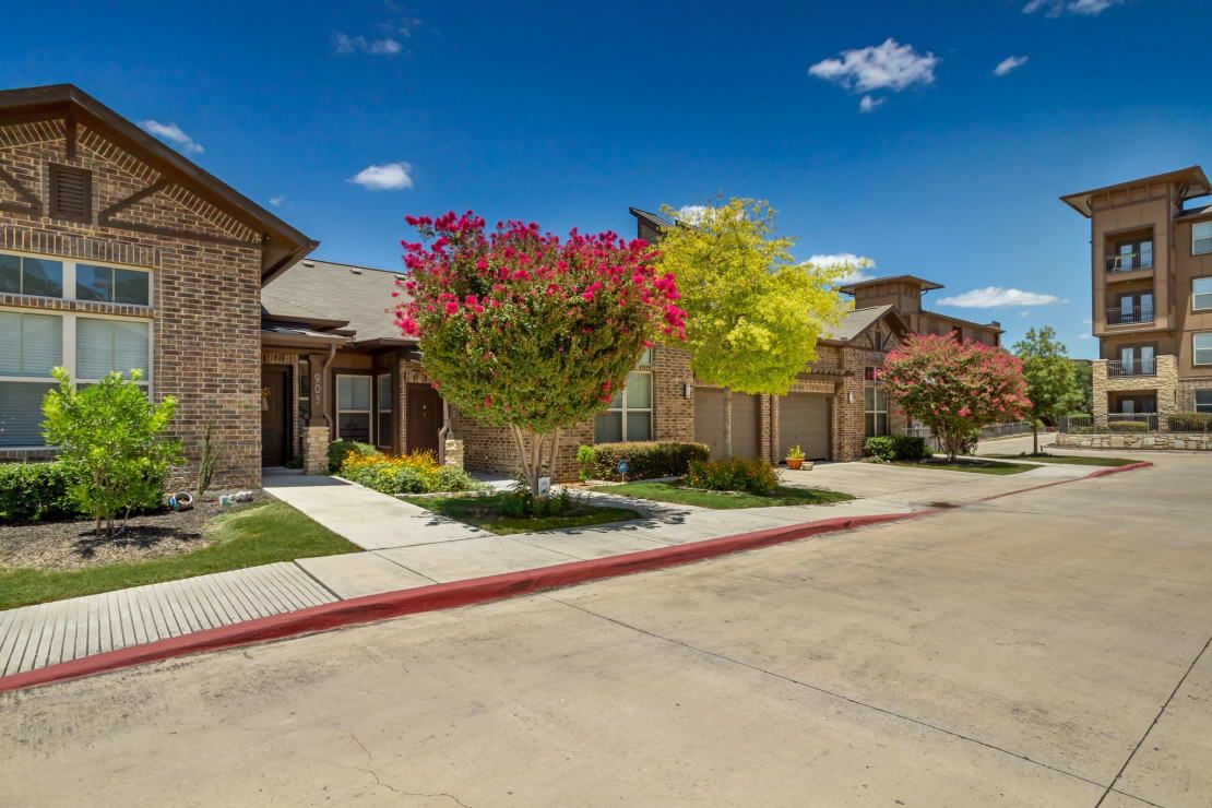 A row of suburban houses with well-maintained landscaping and flowering trees on a sunny day.