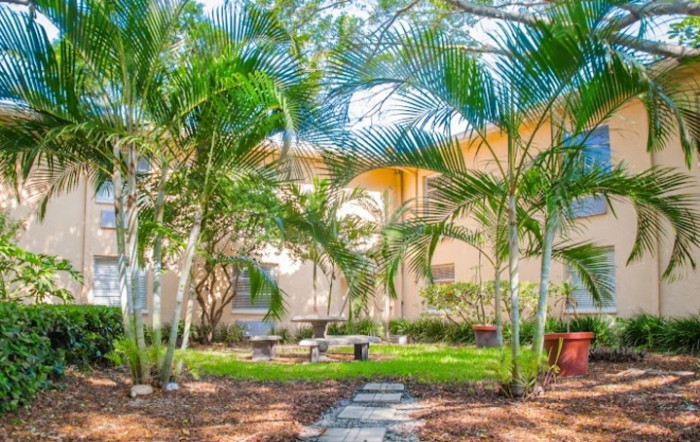 A lush garden featuring palm trees and a stone pathway leading to a building under a bright blue sky.