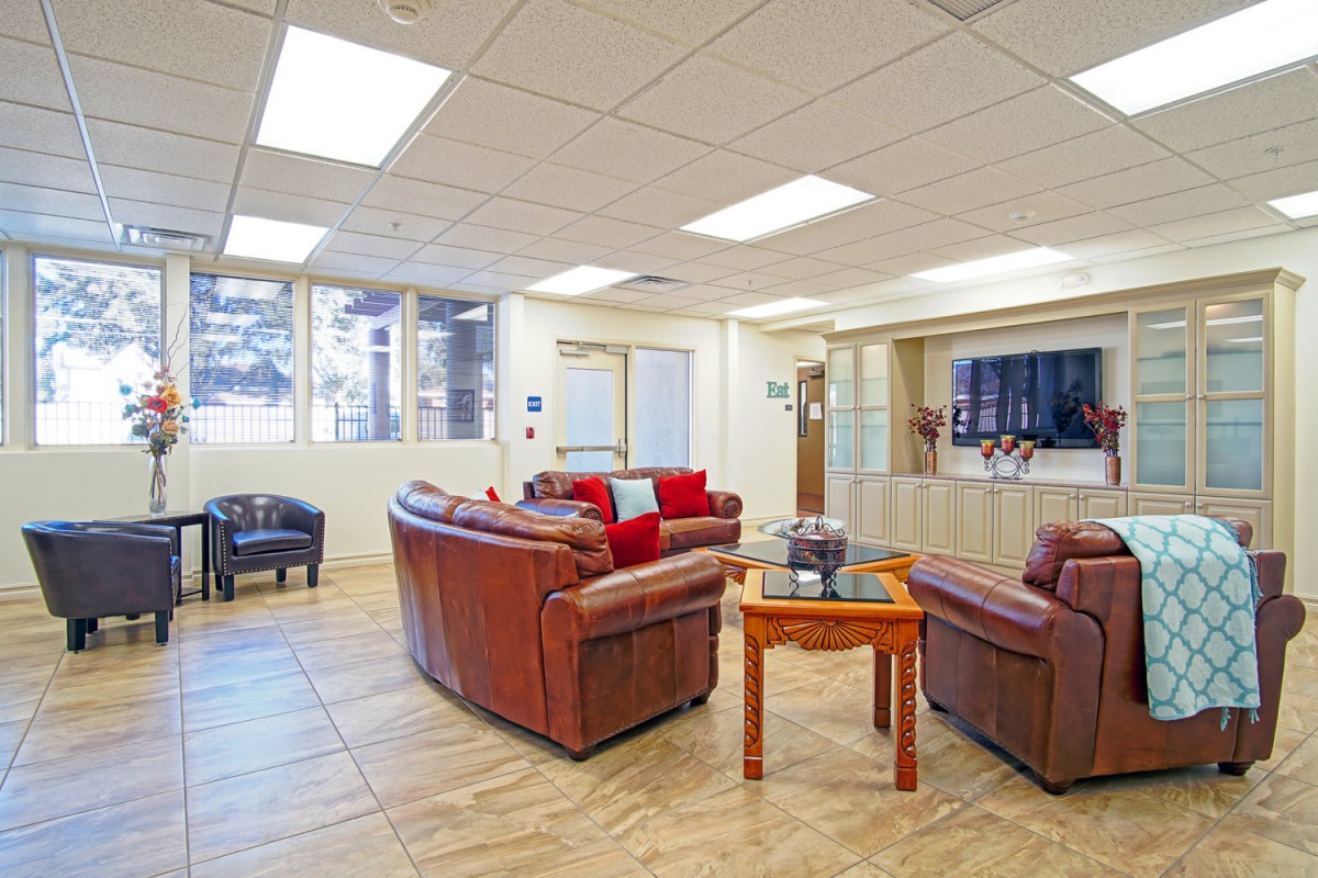 A cozy living room with leather sofas, a TV, and large windows.