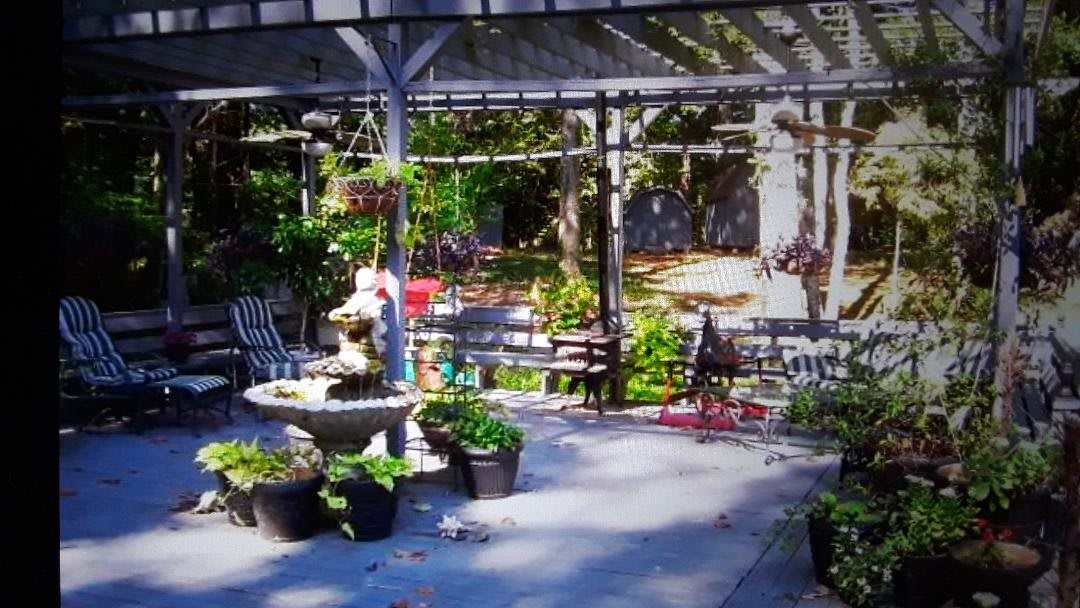 A serene garden patio with a fountain, surrounded by lush plants and shaded by a pergola.
