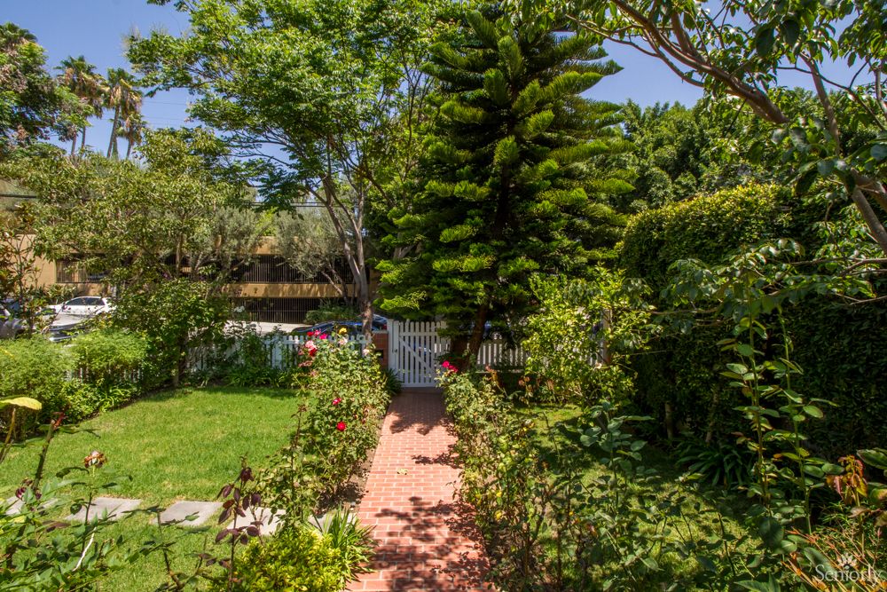 A lush garden pathway surrounded by vibrant greenery and towering trees.