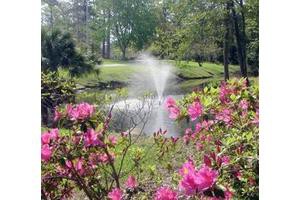 A serene garden with vibrant pink flowers and a central fountain surrounded by lush greenery.
