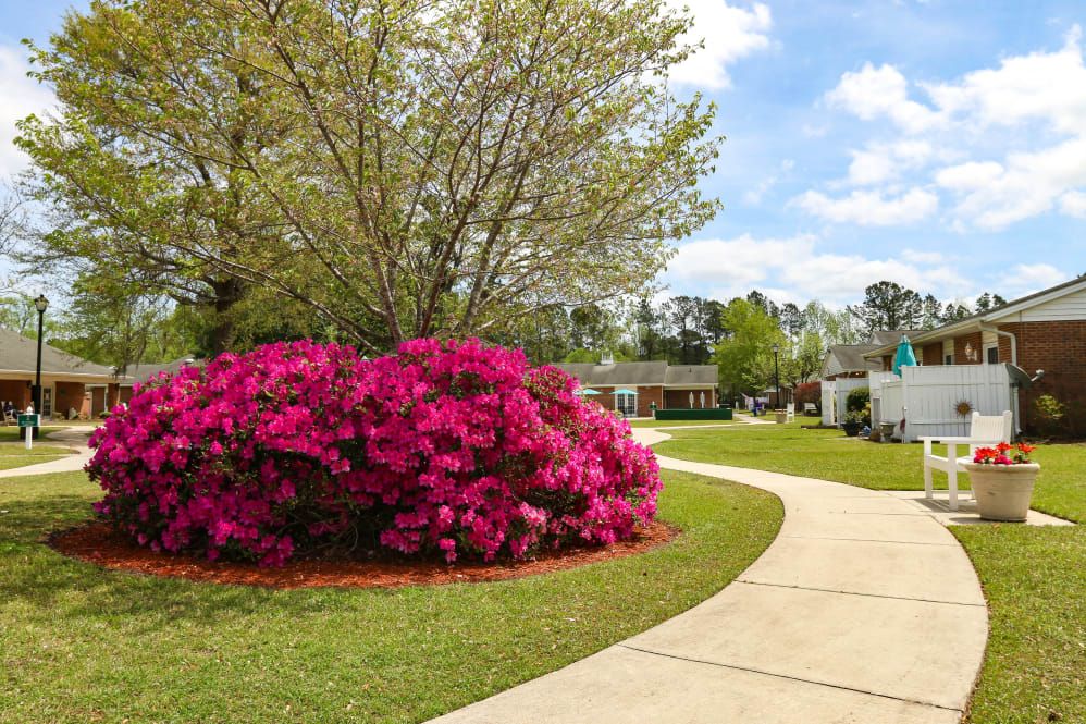 Truewood By Merrill, New Bern