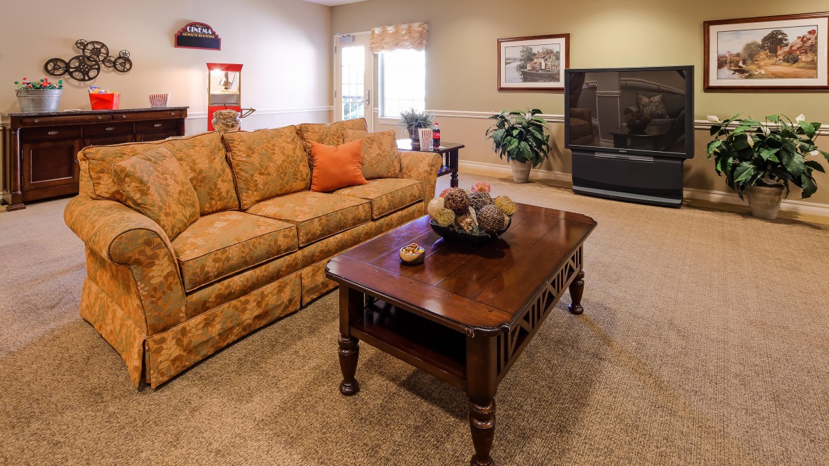 A cozy living room featuring a comfortable sofa, coffee table, and a large television, accented with decor and a potted plant.