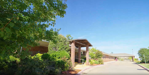 A sunny day view of a landscaped entrance to a building surrounded by greenery.