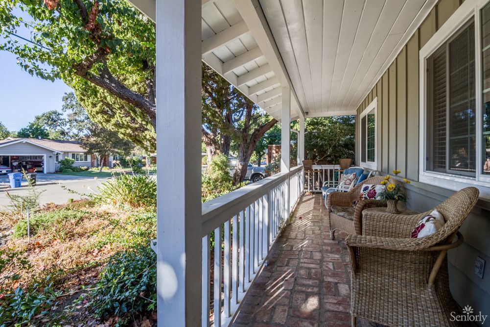 Camellia Garden II