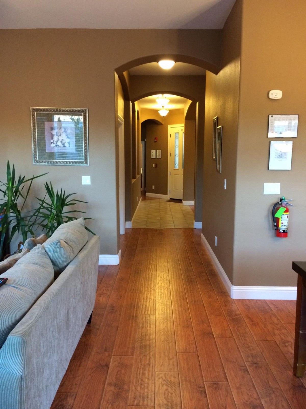 A cozy interior view of a hallway leading from the living room, featuring wooden floors, plants, and artwork on the walls.