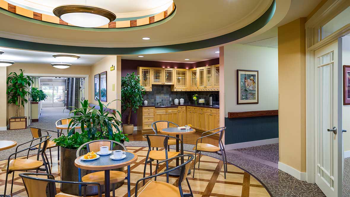 A cozy cafe interior with a small kitchen area, tables and chairs, and decorative plants.