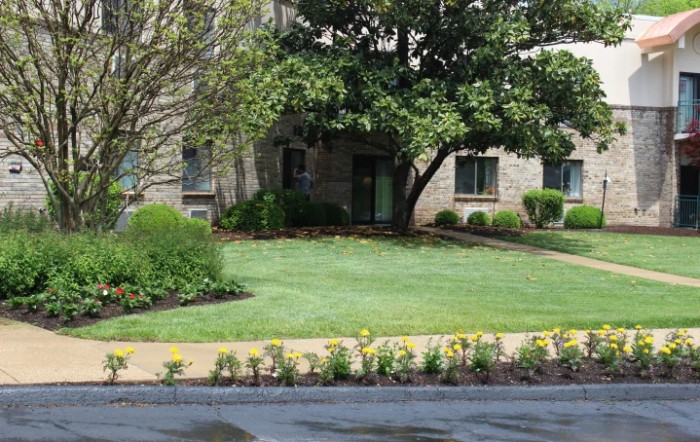A neatly maintained garden with a lush lawn and surrounding bushes in front of a building.