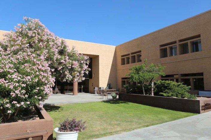 A modern courtyard with trees and a clear blue sky.
