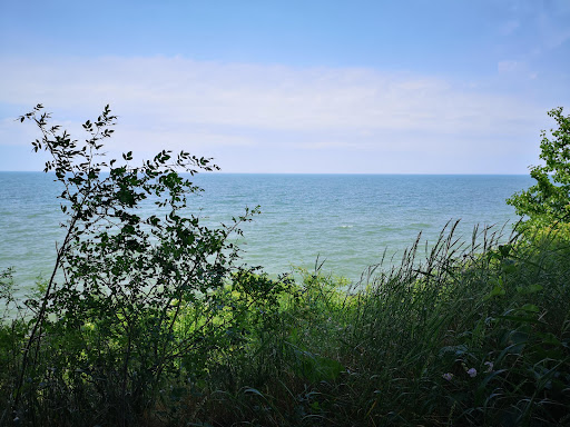 A serene view of the ocean framed by lush greenery under a clear blue sky.