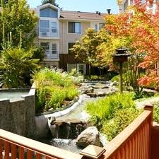 A serene garden with a flowing water feature surrounded by lush greenery and autumn-colored trees in a residential area.