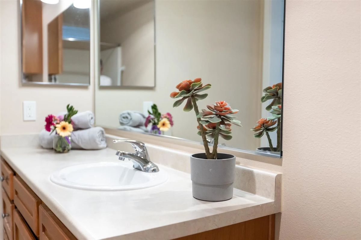 A bathroom counter with a sink, mirror, and a potted plant.