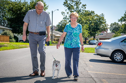 An elderly couple enjoys a sunny walk in their neighborhood with their dog.