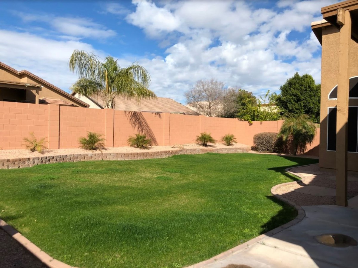 A well-maintained backyard with a green lawn, bordered by a fence and palm trees under a partly cloudy sky.