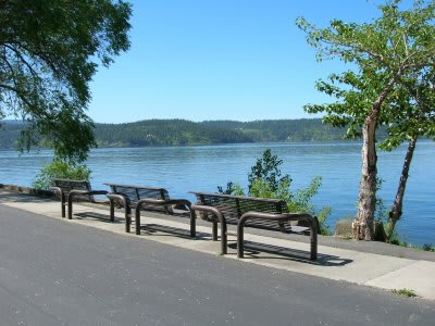 A scenic lakeside path with benches and trees.