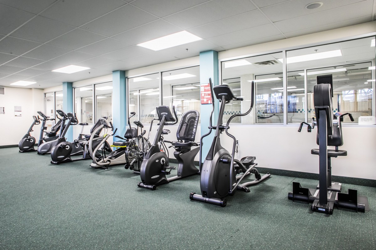 A gym with various cardio exercise machines lined up in a bright, indoor space.