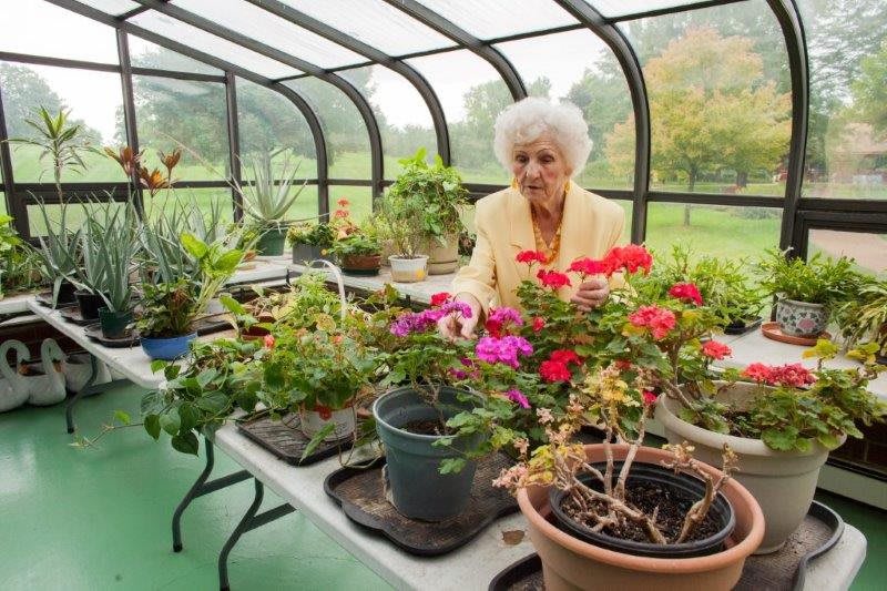 An elderly woman tending to flowers and plants in a greenhouse.