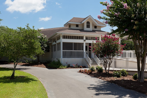 A charming house surrounded by greenery and a clear blue sky.