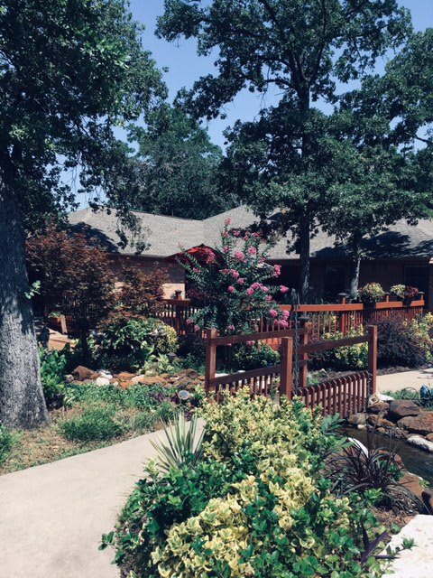 A picturesque garden with a wooden fence and a house in the background, surrounded by trees and lush plants.